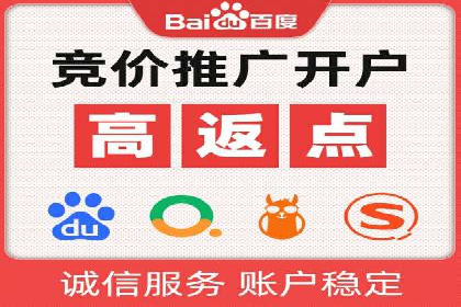 网络营销新篇章：竞价推广案例分析